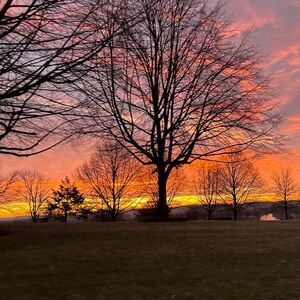 Meet your Posher, Jules